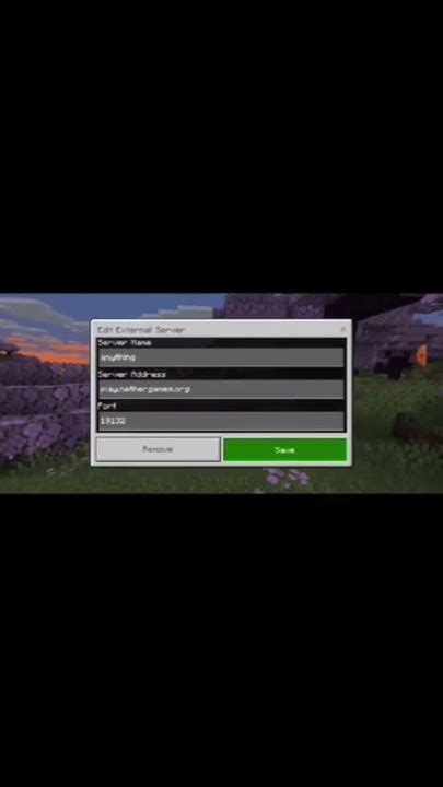 nethergames ip java.